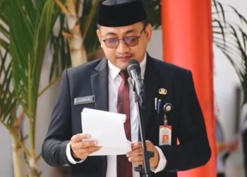 Pemprov Sulsel Usul PPPK Paruh Waktu, Plt. Kepala BKD : Kami Sudah Petakan Jumlah Pengusulan