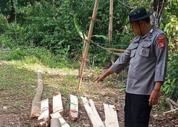 Pembongkaran Arena yang Diduga Akan Dijadikan Lokasi Judi Sabung Ayam