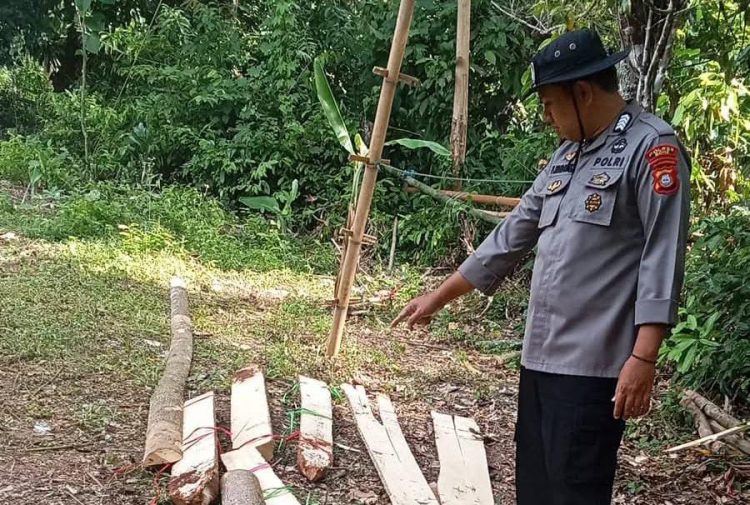 Pembongkaran Arena yang Diduga Akan Dijadikan Lokasi Judi Sabung Ayam