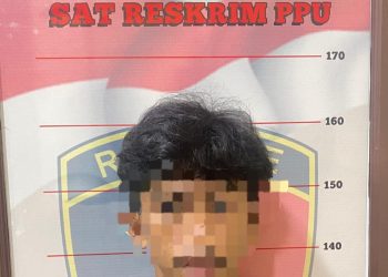 Polres PPU Amankan Seorang Pria Diduga Melakukan Pencurian Sawit di Perkebunan PT. WKP