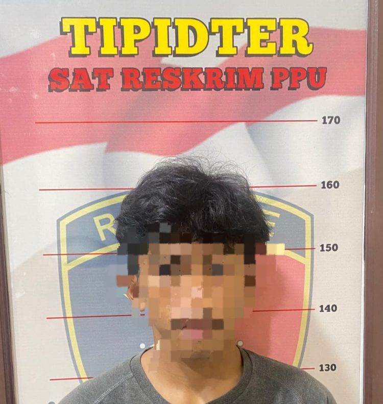 Polres PPU Amankan Seorang Pria Diduga Melakukan Pencurian Sawit di Perkebunan PT. WKP