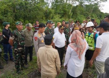 Cetak Sawah di Kalimantan, Prajurit TNI AD Sulap Lahan Jadi Lumbung Pangan