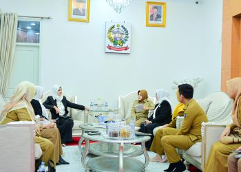 Wagub Sulsel Fatmawati Terima FPPI, Dorong Kolaborasi Perkuat Pemberdayaan Perempuan dan UMKM