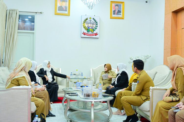 Wagub Sulsel Fatmawati Terima FPPI, Dorong Kolaborasi Perkuat Pemberdayaan Perempuan dan UMKM