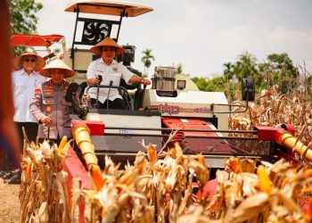 Panen Raya Jagung Kuartal III, Kapolri Tegaskan Komitmen Wujudkan Lumbung Pangan Dunia