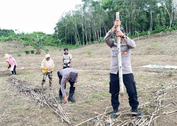Sinergi Polisi dan Petani, Jagung Hibrida Ditanam di Dusun Al Hidayah