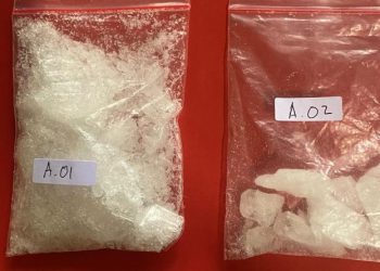 Sabu 66 Gram Digagalkan, Pengembangan Polresta Palu Berujung Penangkapan di Marawola