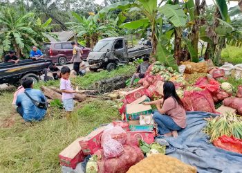 Pick Up Oleng di Babulu Darat, Polsek Babulu Gerak Cepat Tangani Lokasi