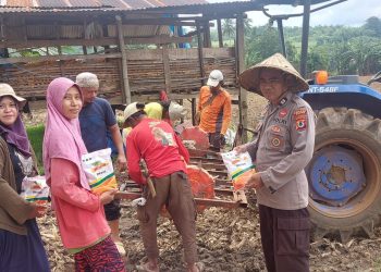 Komitmen Dukung Swasembada Pangan Nasional, Polda Sulsel Tanam Jagung di Lahan 1.803,62 Ha pada Kuartal 1 Tahun 2026.