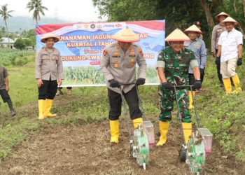 Polri Tegaskan Komitmen Dukung Ketahanan Pangan, Kapolresta Palu Turun Langsung Tanam Jagung
