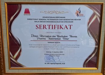 Kaltim Raih Penghargaan BBIB Award 2025, Komitmen Tingkatkan Kompetensi SDM Peternakan Diapresiasi Pemerintah Pusat