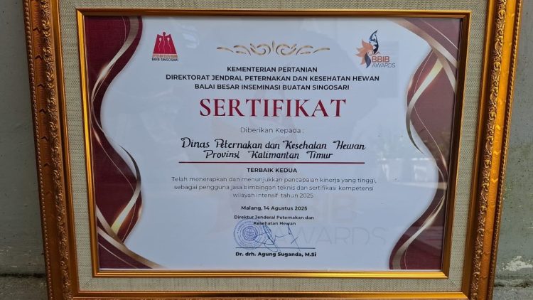 Kaltim Raih Penghargaan BBIB Award 2025, Komitmen Tingkatkan Kompetensi SDM Peternakan Diapresiasi Pemerintah Pusat