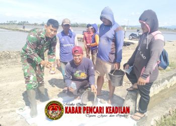 Atasi Hama Tikus, Babinsa Serahkan Bantuan Racun kepada Petani di Padangloang Alau