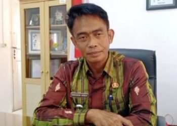 Camat belawa Arifuddin arman S. Kom.,S.H.Si, menyampaikan apresiasi dan ucapan terimakasih kepada Bupati Wajo atas peningkatan infrastruktur jalan menuju sengkang.