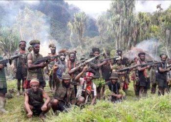 Kontak Tembak di Mile 50 Freeport, TPNPB Klaim Serangan dan Perampasan Senjata