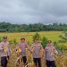 Panen Jagung Bareng Warga, Polsek Sebulu Perkuat Ketahanan Pangan