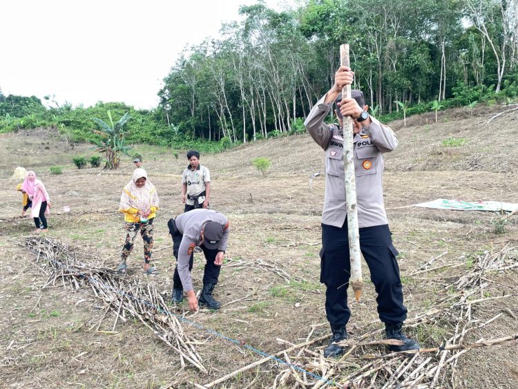 Sinergi Polisi dan Petani, Jagung Hibrida Ditanam di Dusun Al Hidayah