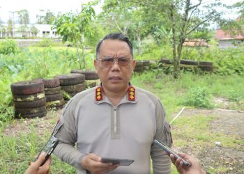 Satgas Damai Cartenz 2026 Ringkus Terduga Anggota Kelompok Bersenjata di Yahukimo