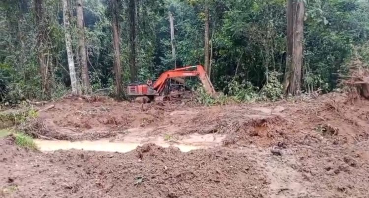 Laporan Warga Soal Dugaan Tambang Emas di Rantau Layung, Aparat Diharapkan Lakukan Penelusuran