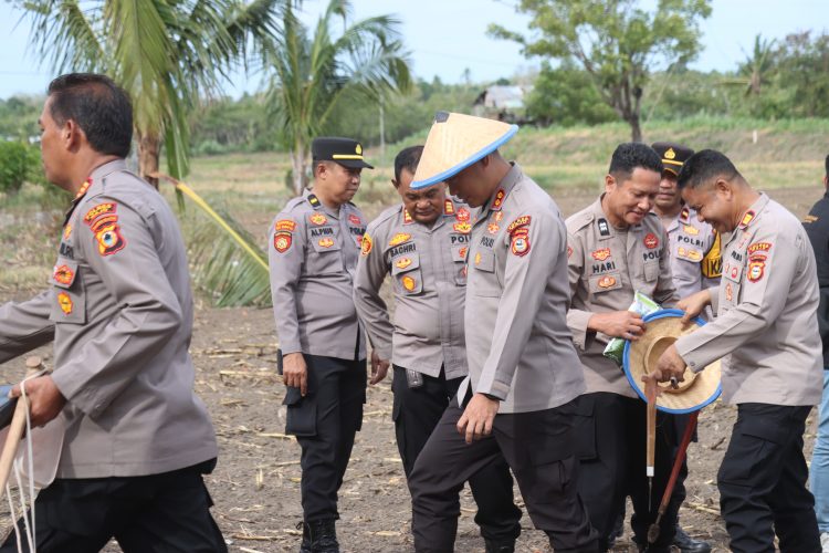 Polres Wajo Tanam Jagung, Dukung Swasembada Pangan Nasional