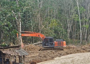 Polda Lampung Sikat Tambang Emas Ilegal di Way Kanan, 14 Tersangka Diamankan