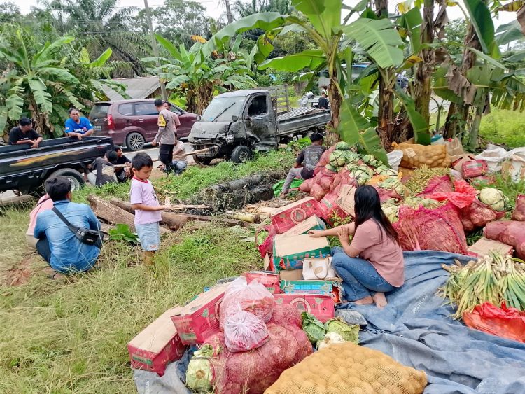 Pick Up Oleng di Babulu Darat, Polsek Babulu Gerak Cepat Tangani Lokasi