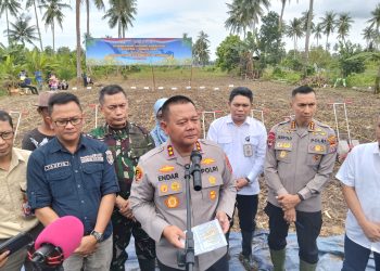 Polri Hadir untuk Rakyat, Kapolda Kaltim Gerakkan Penanaman Jagung di Kaltim