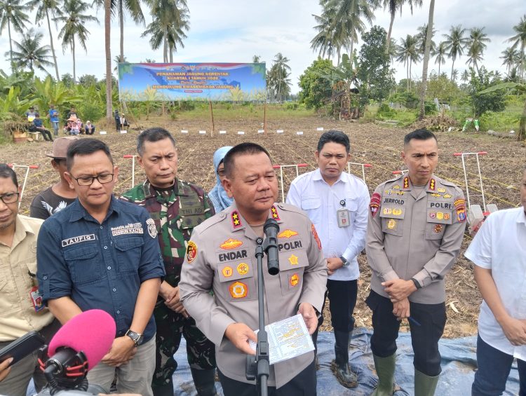 Polri Hadir untuk Rakyat, Kapolda Kaltim Gerakkan Penanaman Jagung di Kaltim