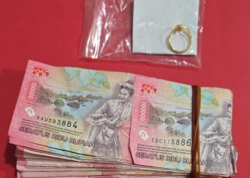 Sadis! Rampas Kalung dan Anting Nenek di Loa Janan, Dua Pelaku Curas Dibekuk Polisi