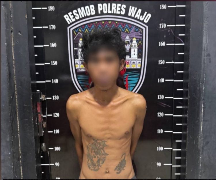 Kasus Curanmor Terungkap di Pammana, Polisi Amankan Pelaku dan Buru Rekannya.