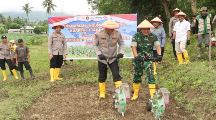 Polri Tegaskan Komitmen Dukung Ketahanan Pangan, Kapolresta Palu Turun Langsung Tanam Jagung