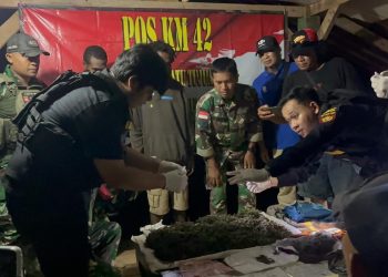 Gagalkan Penyelundupan Narkoba, Satgas Yonif 403/WP Tangkap Dua Pelaku di Perbatasan RI–PNG
